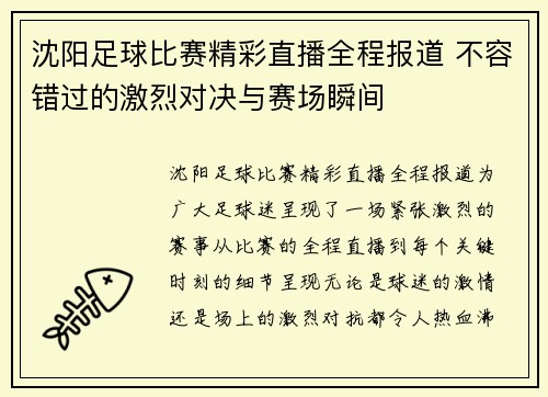 沈阳足球比赛精彩直播全程报道 不容错过的激烈对决与赛场瞬间